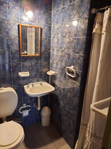 a bathroom with a sink and a toilet and a mirror at Hostería El Alemán in Cosquín