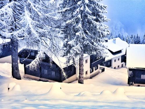 a house covered in snow with trees in the background at das Bergerleben in Sonnenalpe Nassfeld
