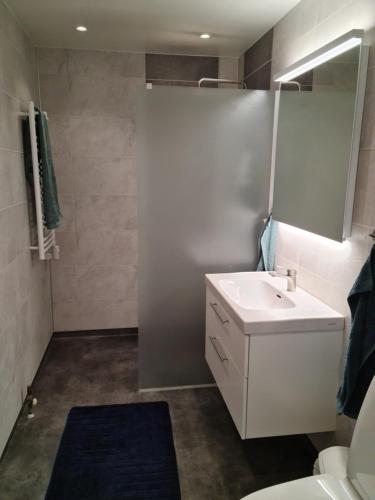 bagno con lavandino bianco e servizi igienici di Östra Karup Båstad a Östra Karup