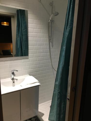 La salle de bains est pourvue d'un rideau de douche et d'un lavabo. dans l'établissement Ess'folie Gîte, à Chambles