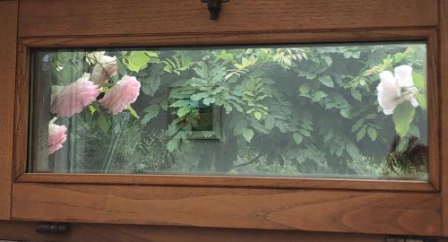 podere campanella – Photos 4