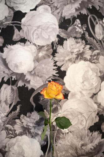 a yellow rose in a vase in front of a wallpaper at Hotel Gerig in Wassen
