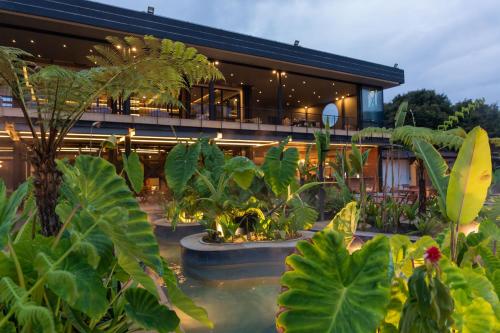 Un bâtiment avec beaucoup de plantes devant lui dans l'établissement Termales El Otoño, à Manizales