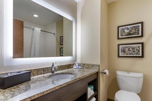 a bathroom with a sink and a toilet and a mirror at Comfort Inn St Robert-Fort Leonard Wood in Saint Robert