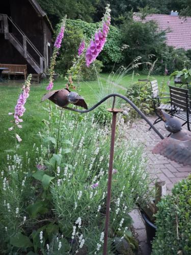 Zahrada ubytování Ferienbauernhof Ennenhof