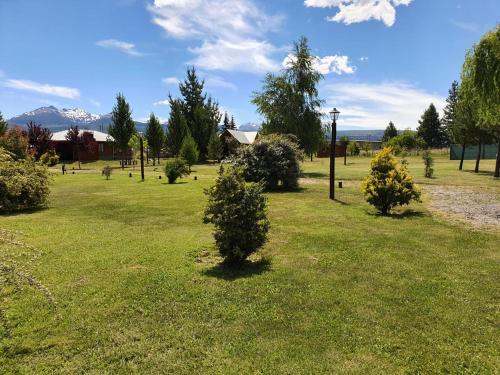 a field with christmas trees in the grass at Cabañas Atrapasueños in Trevelin