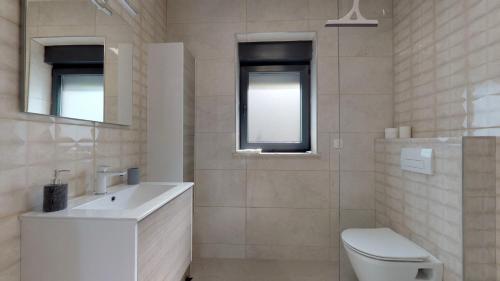 La salle de bains est pourvue de toilettes, d'un lavabo et d'un miroir. dans l'établissement Lovely 2-Bed Apartment in Drenje near Rabac, à Labin