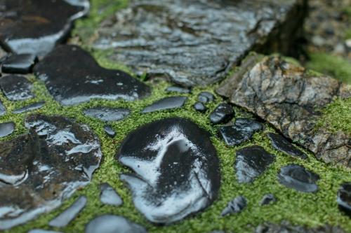Una formación rocosa con musgo y piedras. en Toshiharu Ryokan en Kyoto