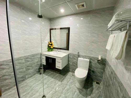 bagno con servizi igienici, lavandino e specchio di Thanh Dat Hotel I a Ninh Lão