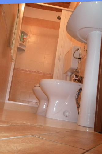 a bathroom with a white toilet and a shower at Anticu Dammusu in Scicli