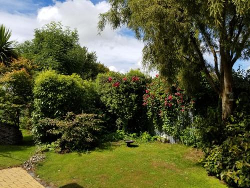 a garden with bushes and a tree and a bench at City central apartment – modern, private & quiet in Invercargill