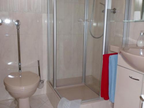 ein Bad mit einer Dusche, einem WC und einem Waschbecken in der Unterkunft Appartement Ilse Herbert in Würzburg