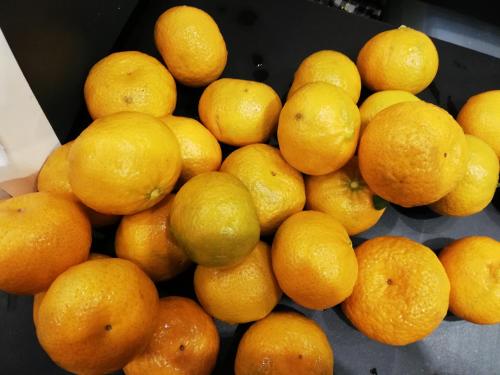 a pile of oranges and lemons on a table at B&B Relais sul Siroto in Castelnuovo Cilento