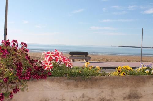 a flower garden in front of a bench at the beach at Terrazze Sul Mare in Pozzallo