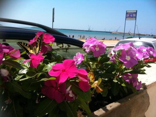 a car parked next to the beach with pink flowers at Terrazze Sul Mare in Pozzallo