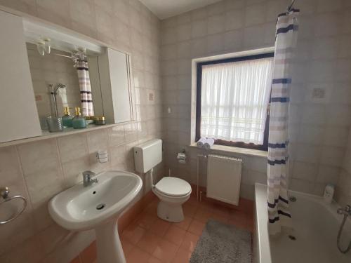 a bathroom with a white toilet and a sink at Apartments Vidmar near Bled - Adults only in Lesce