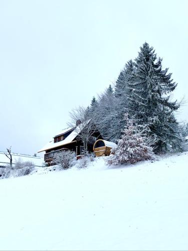 a house in the snow next to a group of trees at Ferienhaus "Am Wäldle" in Feldberg