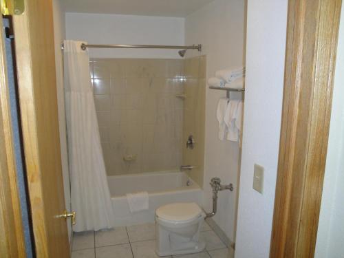 a bathroom with a toilet and a shower and a tub at Chicago Lakeshore Hotel in Chicago