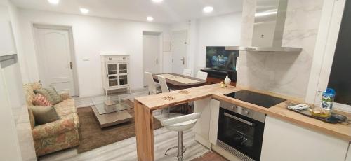 a kitchen and living room with a counter top at Apartamento Terra Denis in León