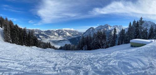 a snow covered mountain with trees and a building at Haus Helga in Lienz