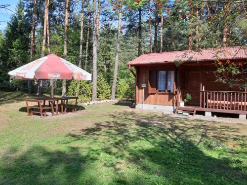 Φωτογραφία από το άλμπουμ του Forest Villa- domki σε Susiec