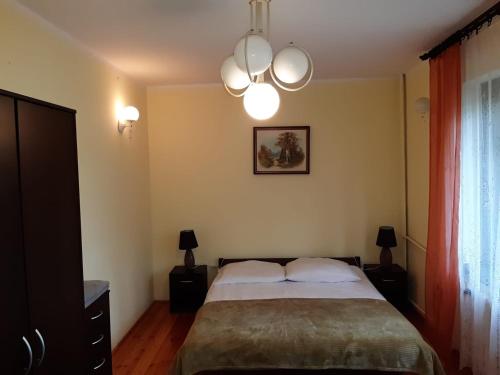 1 dormitorio con 1 cama con 2 almohadas en Forest Villa, en Susiec