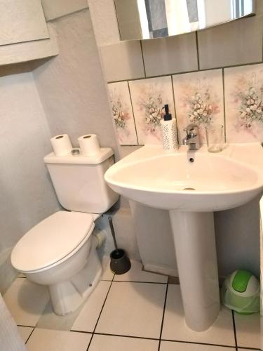 une salle de bain avec toilettes et lavabo dans l'établissement Appartement T1 bis quartier du château de Pau, à Pau