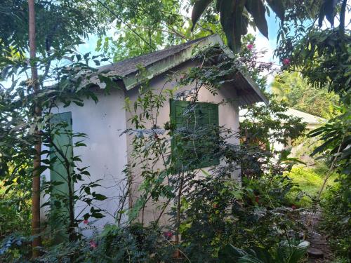 uma casa velha no meio da floresta em Peaceful House em Vieux-Habitants