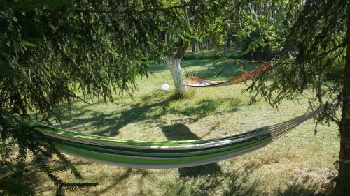 eine Hängematte zwischen zwei Bäumen auf einem Feld in der Unterkunft Borywood in Małe Gacno