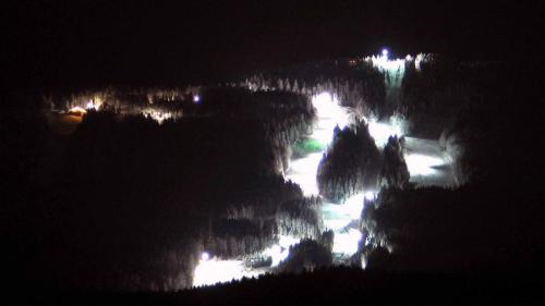 a view of a river at night with lights at Gasthof Zum Wirt Ferienwohnung Hohenbogenblick in Neukirchen beim Heiligen Blut