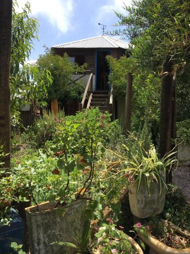 a garden with plants in front of a house at La Brújula Hostel in La Paloma