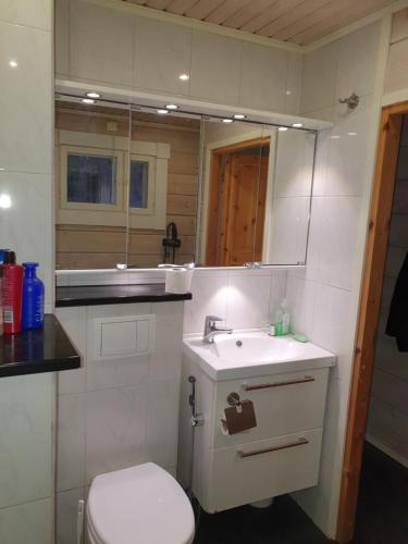 W łazience znajduje się toaleta, umywalka i lustro. w obiekcie Sammalkalliontie 83 Lodge w mieście Kinnula