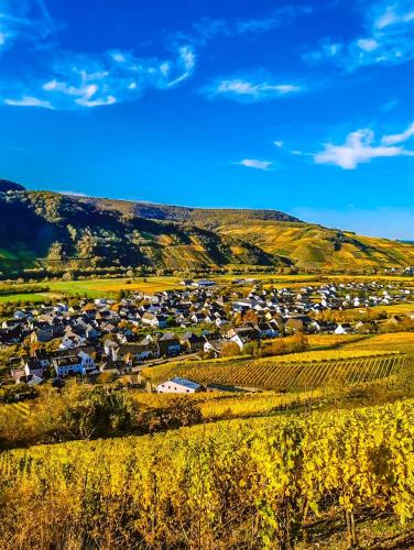 a small town in a field with a hill at Moselhotel Weinhaus Simon `Sauna`Restaurant`ELadesäule in Wintrich