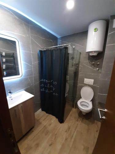 a bathroom with a shower and a toilet and a sink at PRESIDENT KOP A-1 in Kopaonik