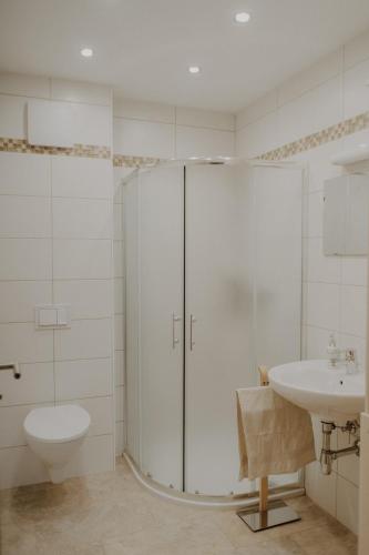 a bathroom with a shower and a toilet and a sink at Peter Lamster Top2 in Frauenkirchen