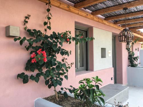 una planta en una plantadora junto a una pared en Terra Nera Suites, en Perivolos