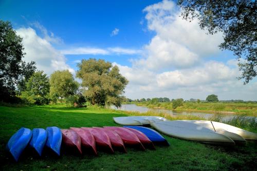a group of kayaks lined up on the grass near a river at Land-gut-Hotel Allerhof in Frankenfeld