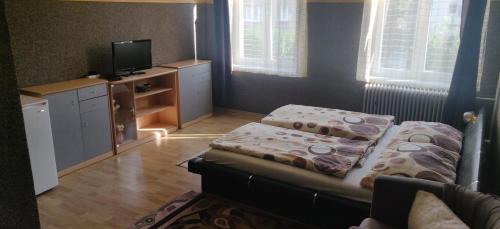 1 dormitorio pequeño con 1 cama y TV en Ubytování u Kováře, en Ústí nad Labem