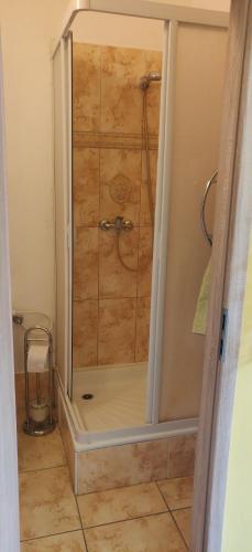 a shower with a glass door in a bathroom at Ubytování u Kováře in Ústí nad Labem