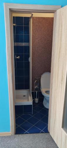 a bathroom with a shower and a toilet at Ubytování u Kováře in Ústí nad Labem