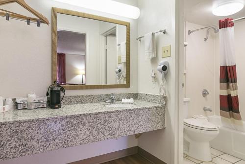 a bathroom with a sink and a toilet and a mirror at Red Roof Inn Forsyth in Forsyth