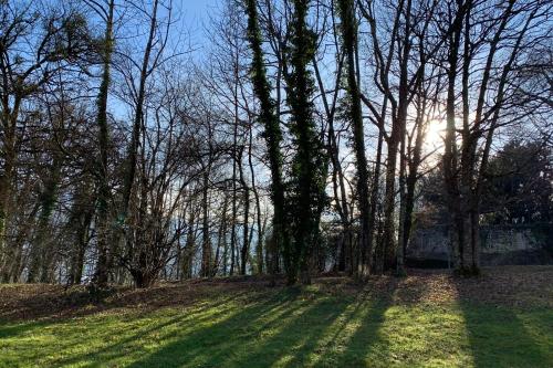 a group of trees in a field with the sun shining through at #P0 Le Montbonnot Luminous T2 Garden - Terrace in Montbonnot-Saint-Martin