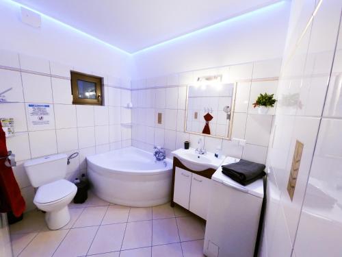 a white bathroom with a toilet and a sink at Agroturystyka Siedlisko in Lubowidz