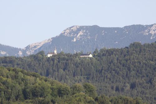 a house on top of a hill with trees at Klostergasthof Maria Eck in Siegsdorf