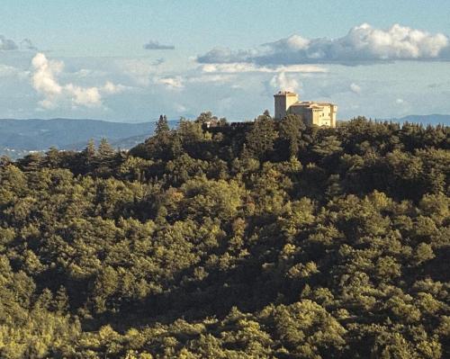 a building on top of a hill with trees at Casa Demo in Fighine