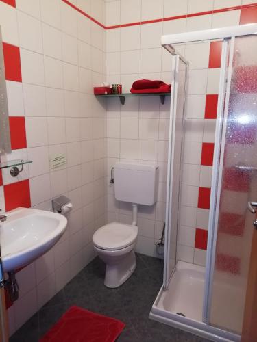a bathroom with a toilet and a sink and a shower at Mayr-Eichberg, Familie Berndl in Wolfsbach