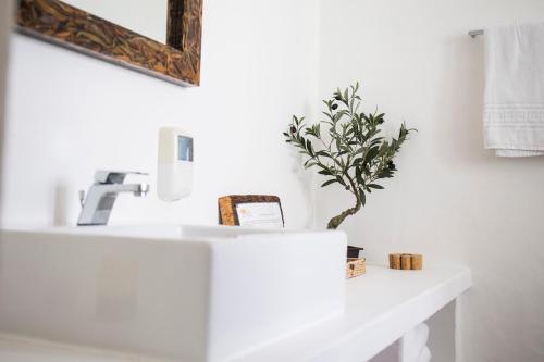 a bathroom with a white sink and a mirror at Monte do Giestal - Casas de Campo & Spa in Abela