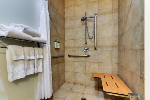 uma casa de banho com um chuveiro com um banco em Holiday Inn Express Hotel & Suites Lancaster-Lititz, an IHG Hotel em Lititz