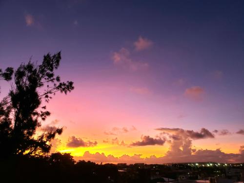 a sunset over a city with a tree in the foreground at "徹底清潔のゆったり64平米2LDK, 人気のリゾートタウン北谷で暮らすように過ごす, 高速ICまで車で3分, 沖縄アリーナまで徒歩圏内" Villa Blu Okinawa Chatan 3-2 ヴィラブルー沖縄北谷3-2 in Chatan