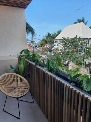 Κήπος έξω από το Casa Peregrino Holbox